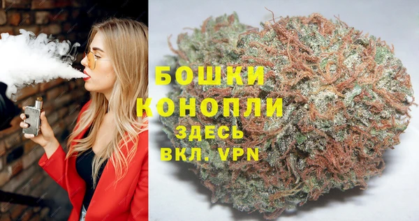 сатива Беломорск