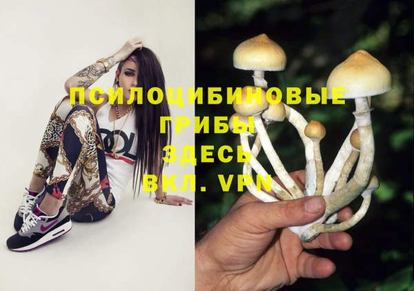 твердый Балабаново