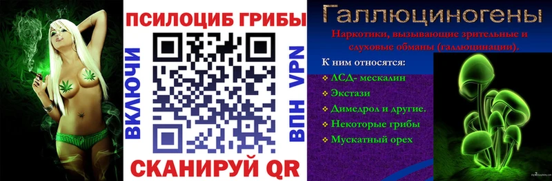 Псилоцибиновые грибы Psilocybe купить закладку blacksprut вход Кизилюрт